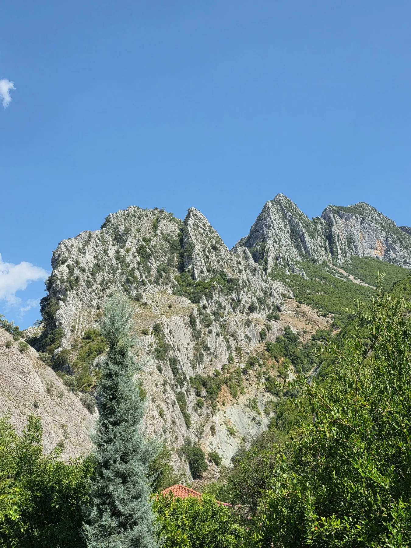 Into Holta Canyon